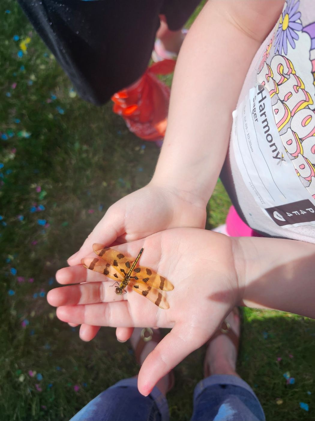 A child holding a dragonfly outside during VBS